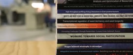 Proefschriften/Thesis